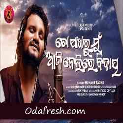 To Pakharu Mu Aji Nelire Bidaya